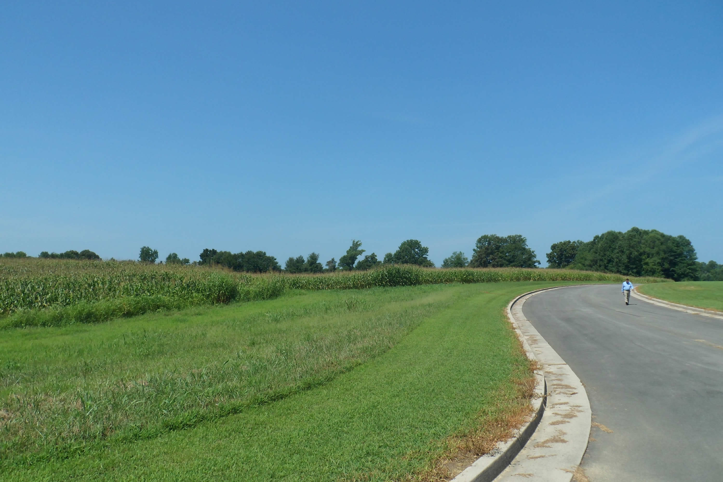 Roadway next to a grass field